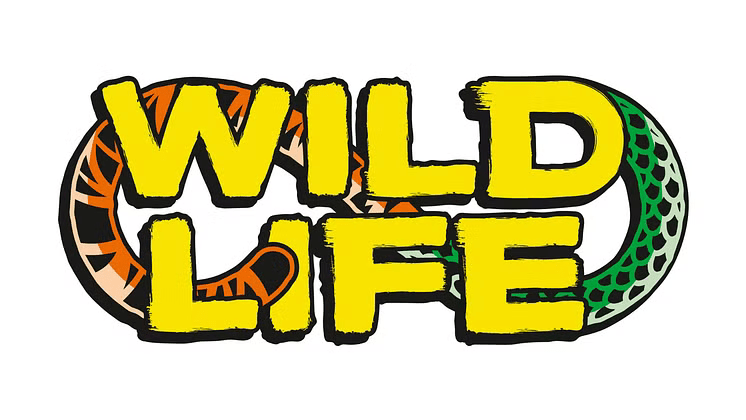 Schleich Wild Life Tierfiguren und Safari Sets bei Ratzekatz