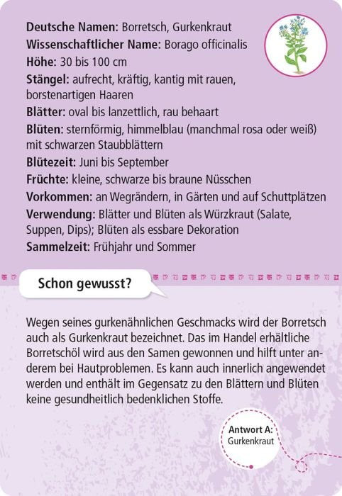 Kartenset mit 50 essbaren Wildpflanzen, ideal zum Bestimmen unterwegs