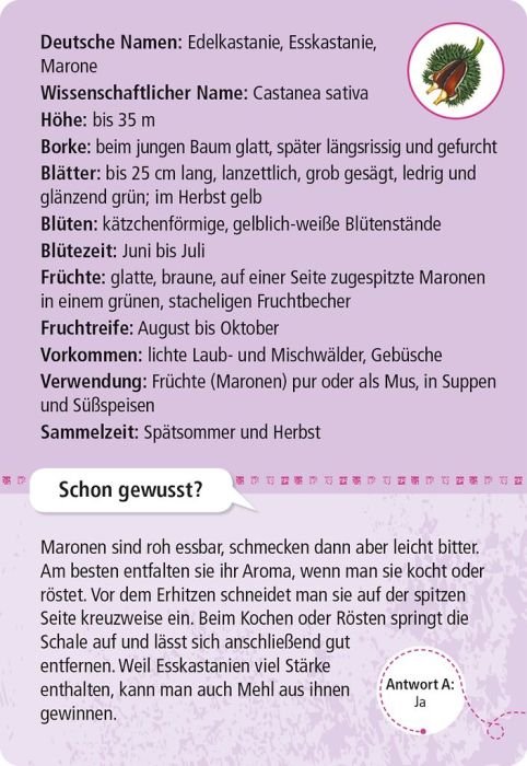Kartenset mit 50 essbaren Wildpflanzen, ideal zum Bestimmen unterwegs