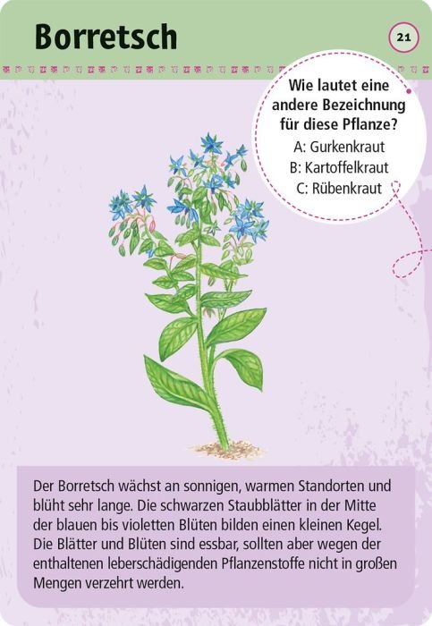 Kartenset mit 50 essbaren Wildpflanzen, ideal zum Bestimmen unterwegs
