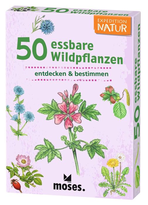 Kartenset mit 50 essbaren Wildpflanzen, ideal zum Bestimmen unterwegs