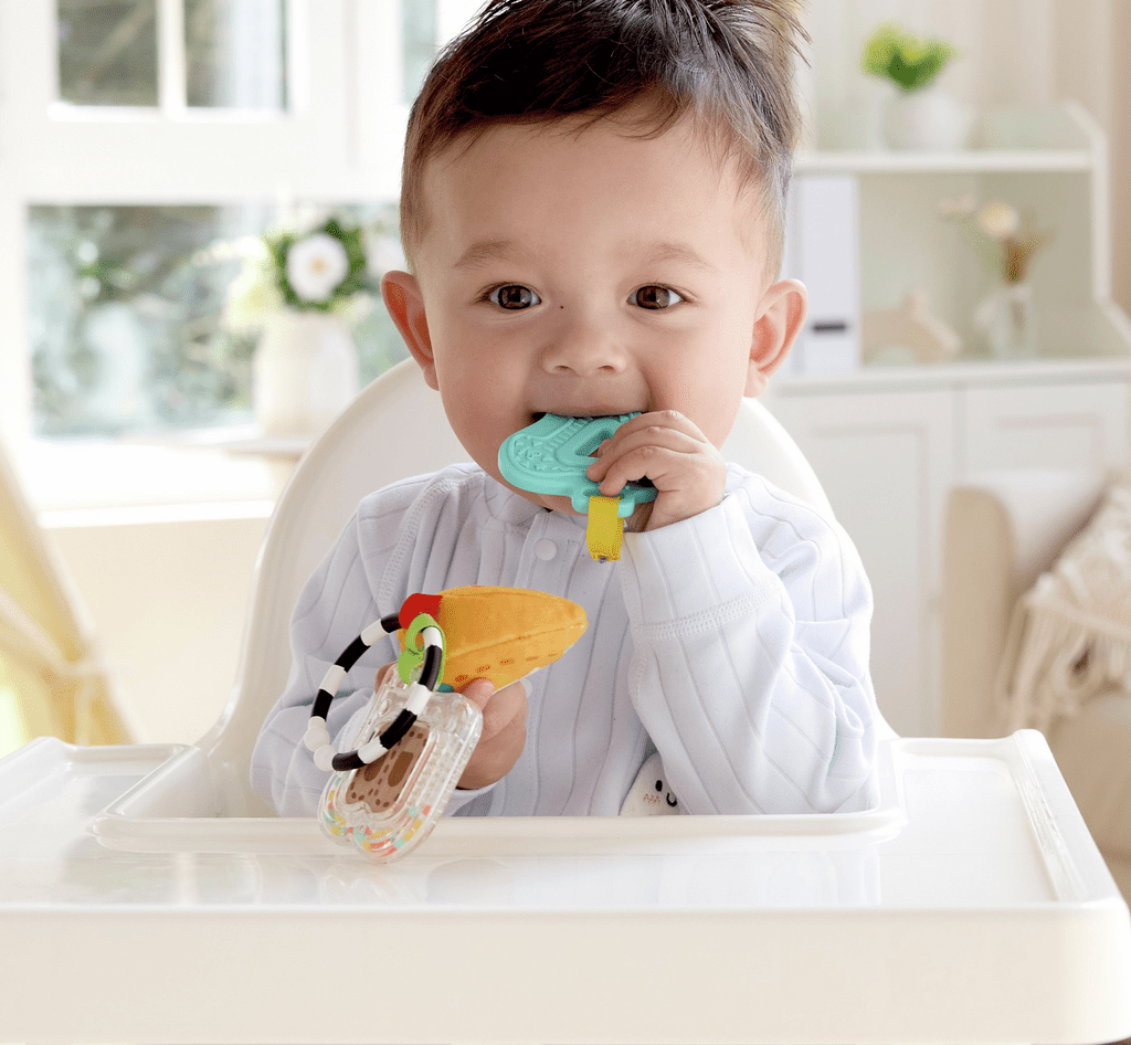 Tragbares Sinnespielzeug Hape Baby ab 0 Monaten
