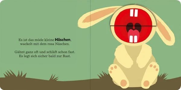 Alle müssen gähnen – Pappbilderbuch mit großen Klappen
