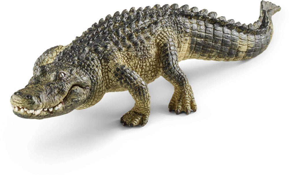 Alligator - Schleich