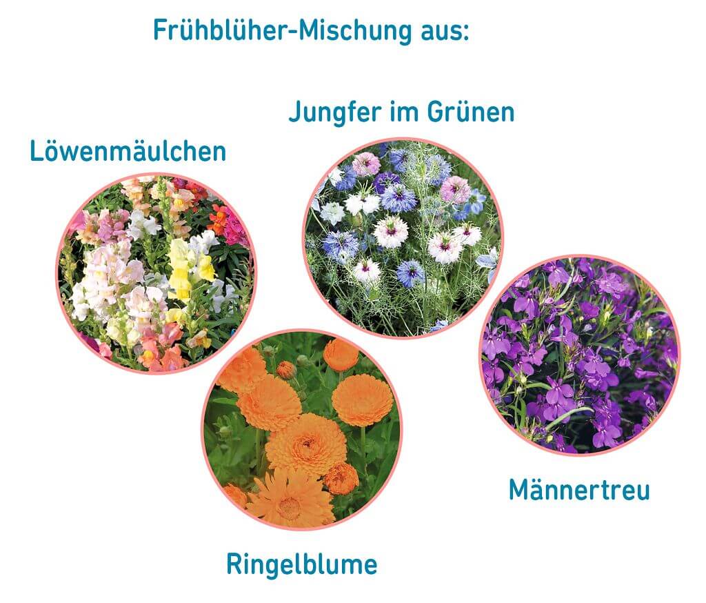 Zinkgießkanne mit Blumensamen-Mix von Moses