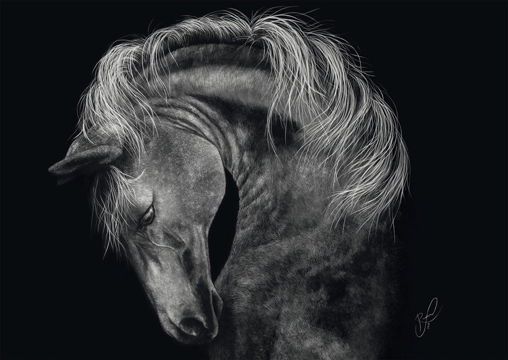 Power Pferd Puzzle 1.000 Teile – Schwarz-Weiß Tiermotiv von Ashley Rader