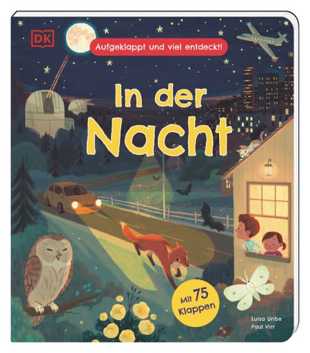 Aufgeklappt und viel entdeckt! In der Nacht - DK Verlag