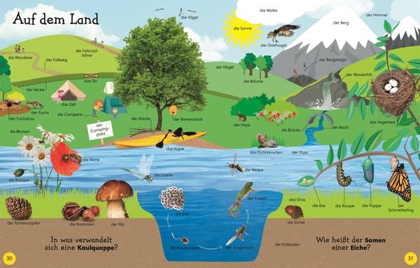 Bilderwörterbuch - 1000 erste Wörter - DK Verlag