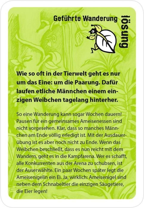 Rätselspiel für Kinder ab 8 Jahren mit Tieren und Naturphänomenen