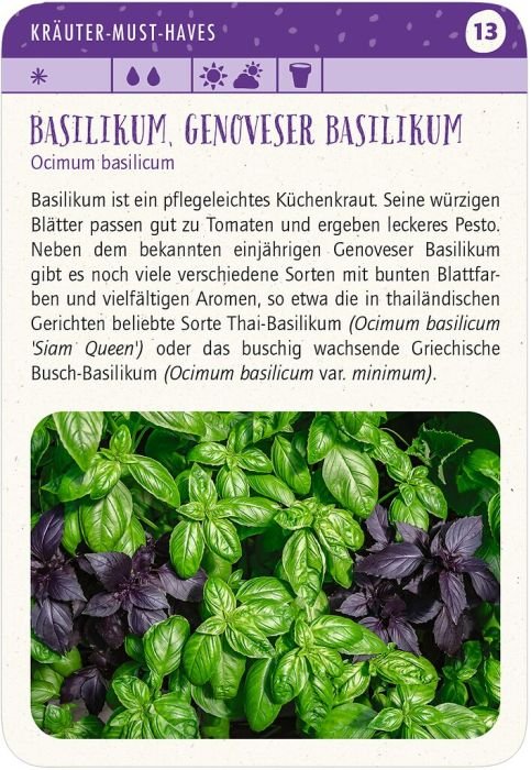 Küchenkräuter handliches Kartenset mit nachhaltigem Design