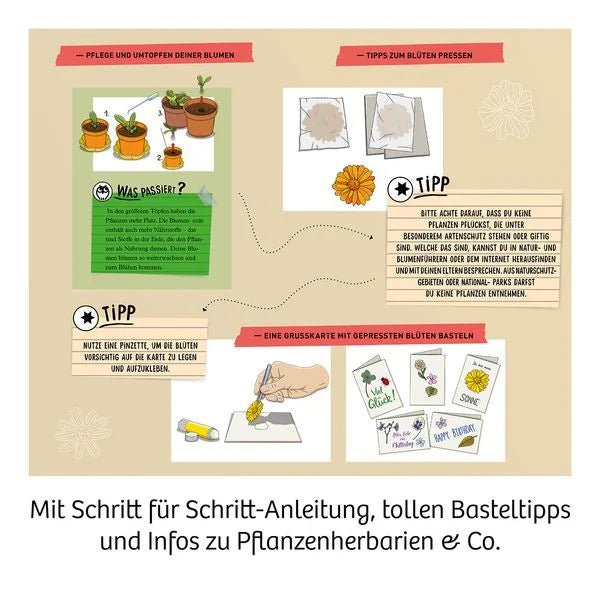 Kosmos Blüten-Presse – Handliche Holz-Pflanzenpresse für Kinder ab 6 Jahren zum Sammeln, Pressen & Gestalten von Blumen und Blättern.