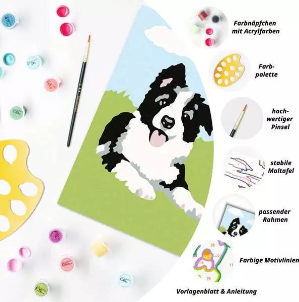 CreArt Border Collie Welpe - Malen nach Zahlen - Ravensburger