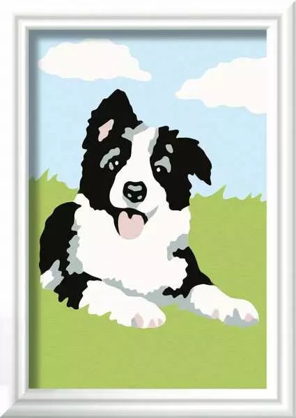 CreArt Border Collie Welpe - Malen nach Zahlen - Ravensburger