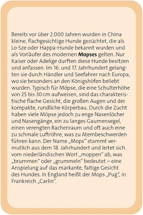 Hunde Quiz Rassen Verhalten Gesundheit Ernährung