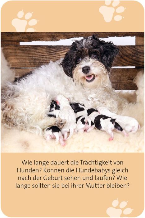 Das Hunde Quiz Geschenkidee Hundeliebhaber ab 14