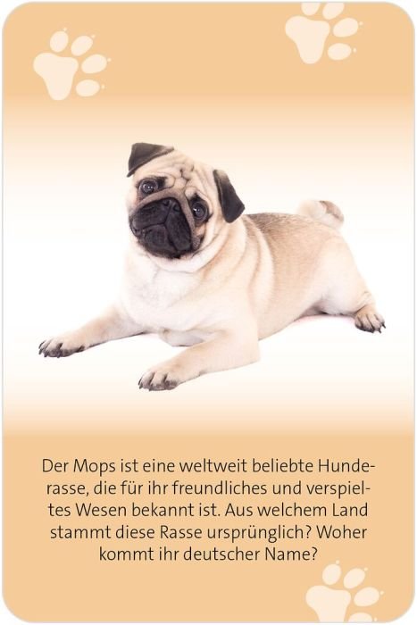 Hunde Wissen Quiz Geschenkbox ab 14 von Moses Verlag