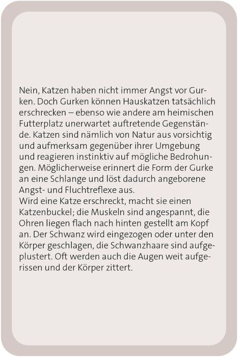 Katzen Kartenspiel Wissen und Fakten ab 14 Jahre