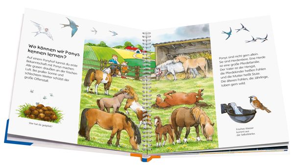 Das Pony / Wieso? Weshalb? Warum? Junior Bd. 20 - Ravensburger