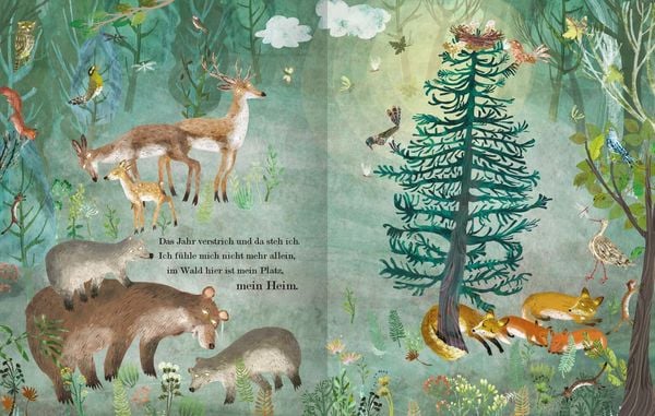 Weihnachtsgeschichte mit Herz – kleine Fichte im Winterwald