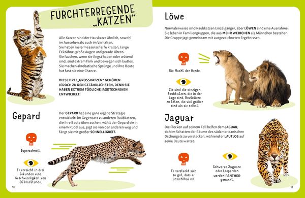 Die tödlichsten Tiere. Ein aufregendes Count - Down der gefährlichsten Tiere (Top Ten) - DK Verlag