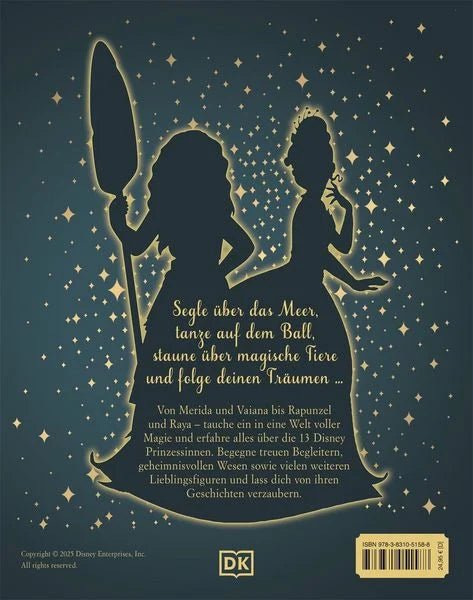 Buchcover Disney Prinzessinnen mit Goldfolie und Leinenoptik
