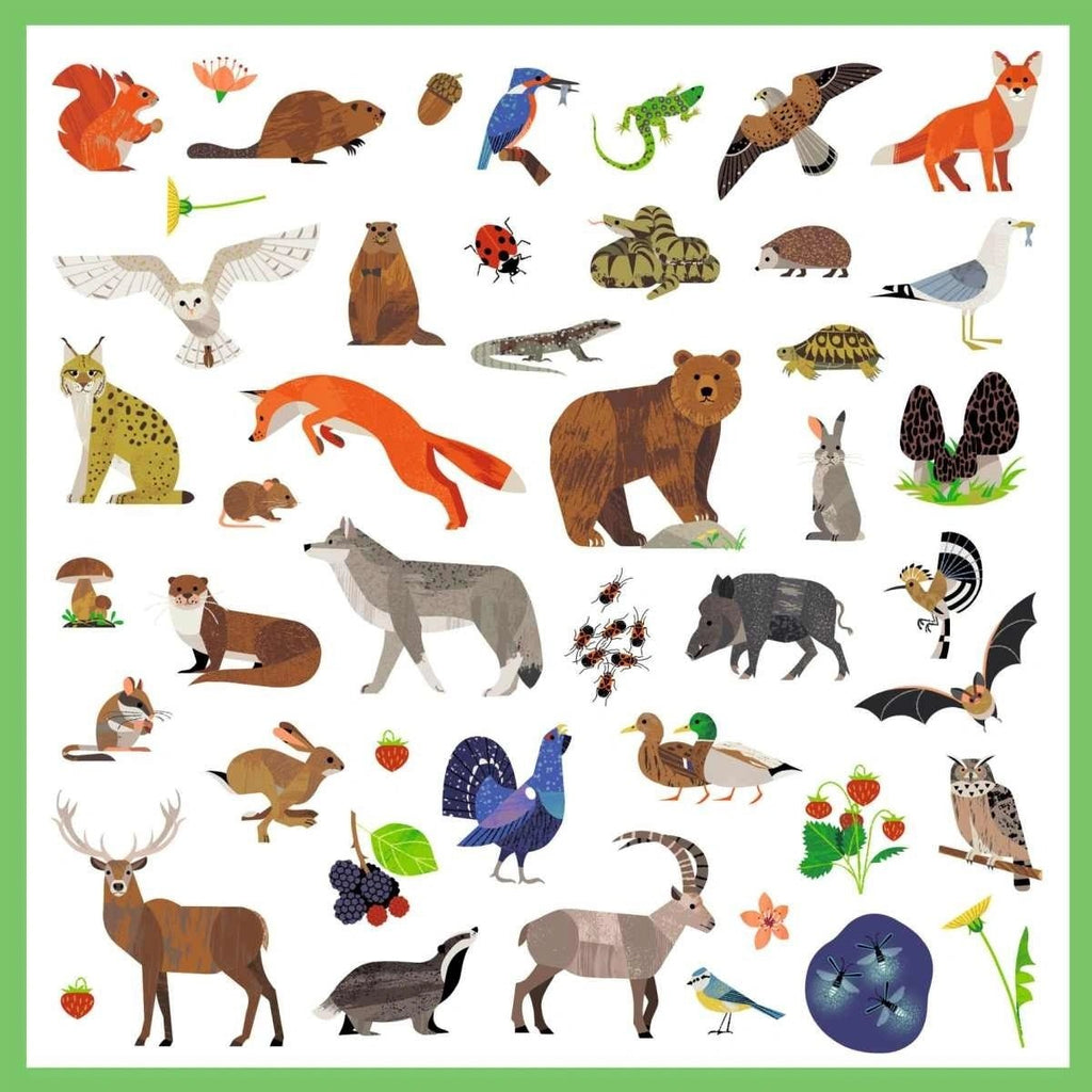 Djeco Sticker Tiere – Wildtiere Europas zum Dekorieren

