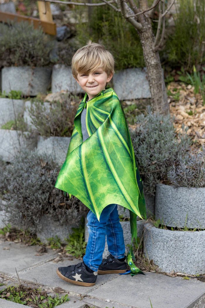 Kostüm Drachenflügel Mädchen Jungen Kinder 4–6 Jahre