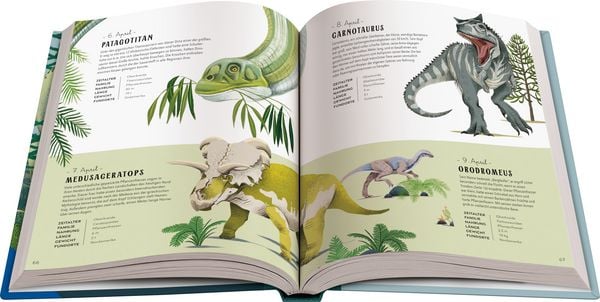 Kinderbuch Dinosaurier für jeden Tag Illustrationen