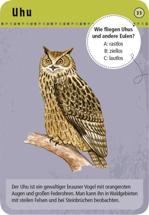 Expedition Natur ab 6 – 50 nachtaktive Tiere kennenlernen