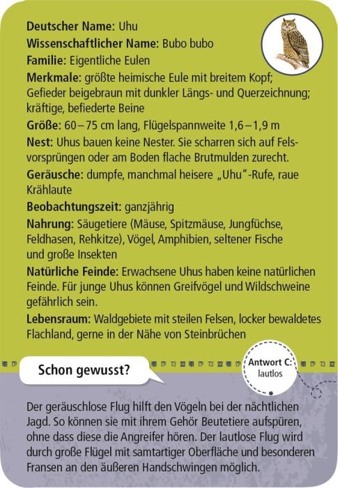 Nachtaktive Tiere raten und lernen – Kartenset ab 6 Jahren