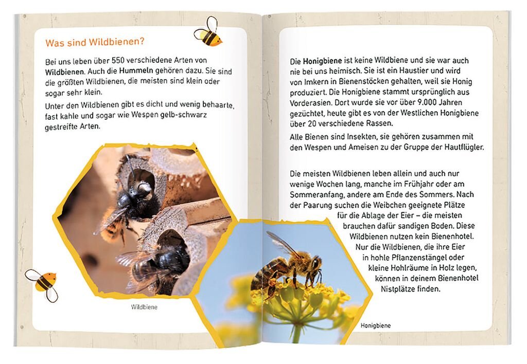 Expedition Natur Bienenhotel - Moses