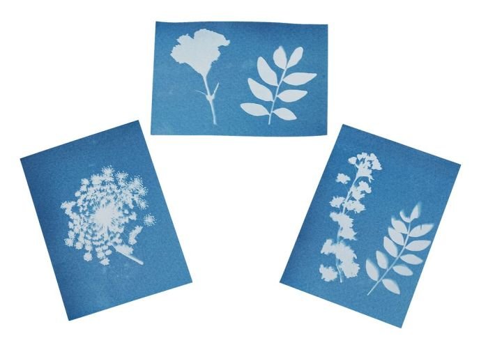 Presse mit Sonnendruckpapier aus der Reihe Expedition Natur