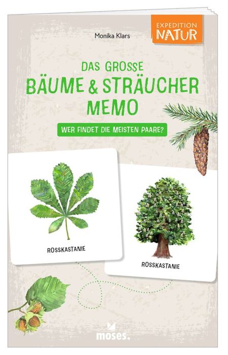 Memo Spiel Pflanzen Wissen fördern ab 6 Jahre