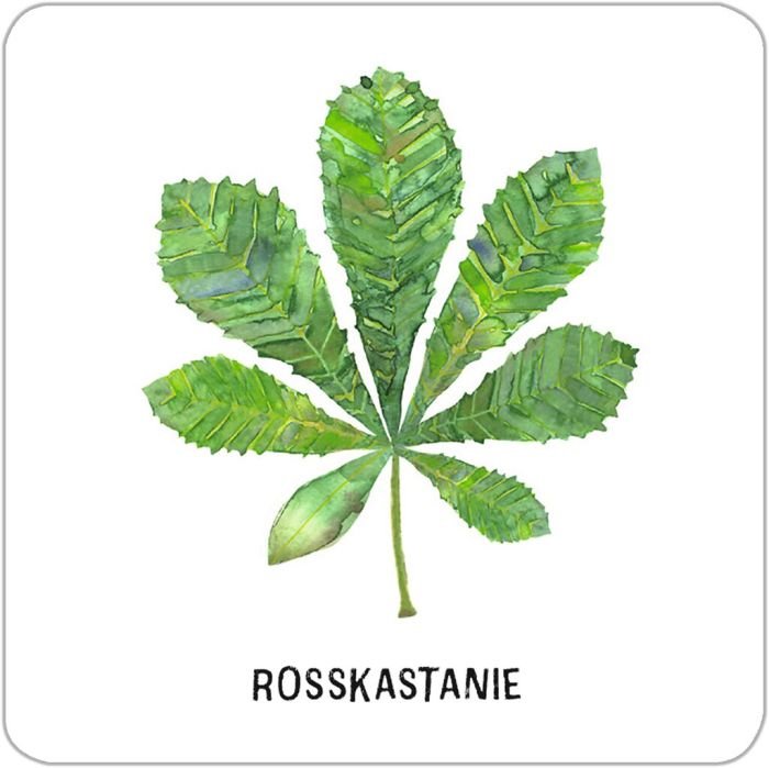 Bäume Sträucher Memo Geschenkidee Naturfreunde