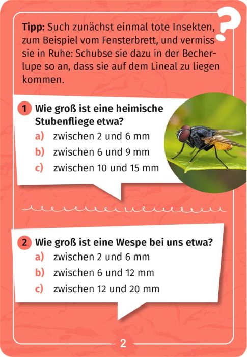 Expedition Natur Mein Becherlupen - Forscherquiz - Moses