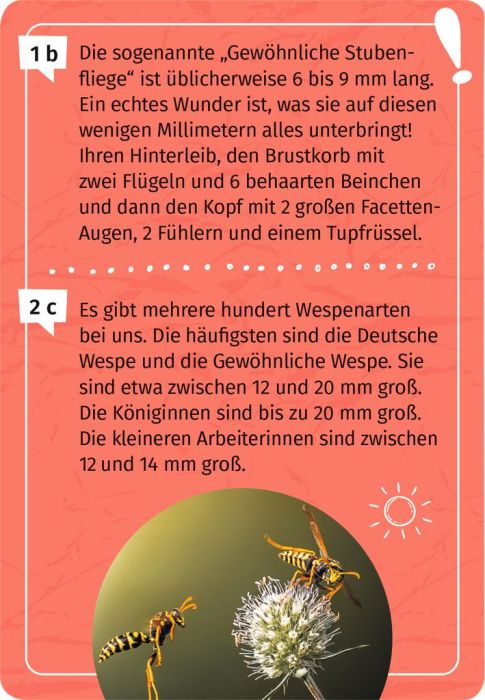 Expedition Natur Mein Becherlupen - Forscherquiz - Moses