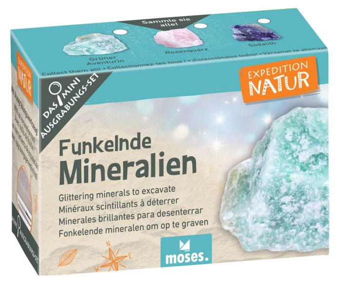 Expedition Natur Mini - Ausgrabungsset - Moses