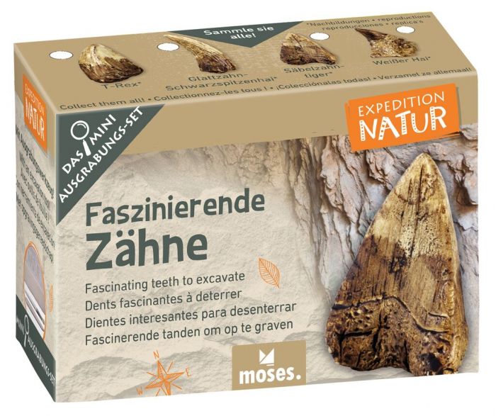 Expedition Natur Mini - Ausgrabungsset - Moses