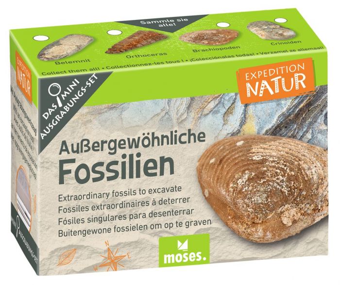 Expedition Natur Mini - Ausgrabungsset - Moses