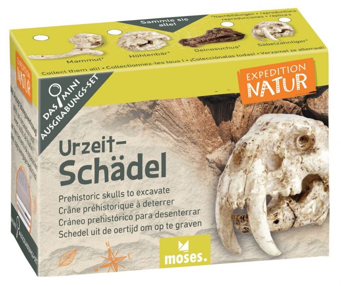 Expedition Natur Mini - Ausgrabungsset - Moses