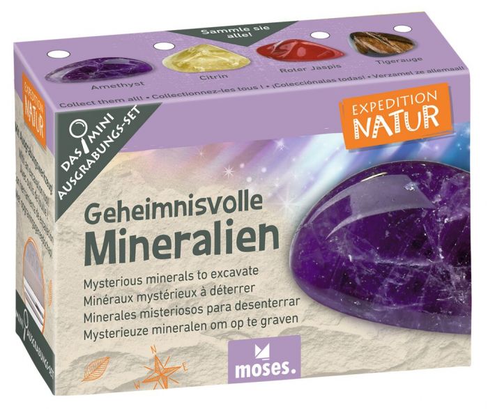 Expedition Natur Mini - Ausgrabungsset - Moses