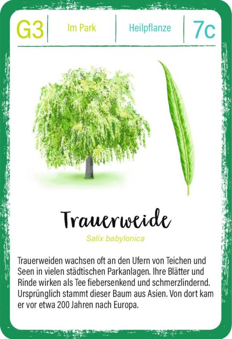 Expedition Natur – Kartenspiel über Bäume für Kinder ab 8 in praktischer Dose