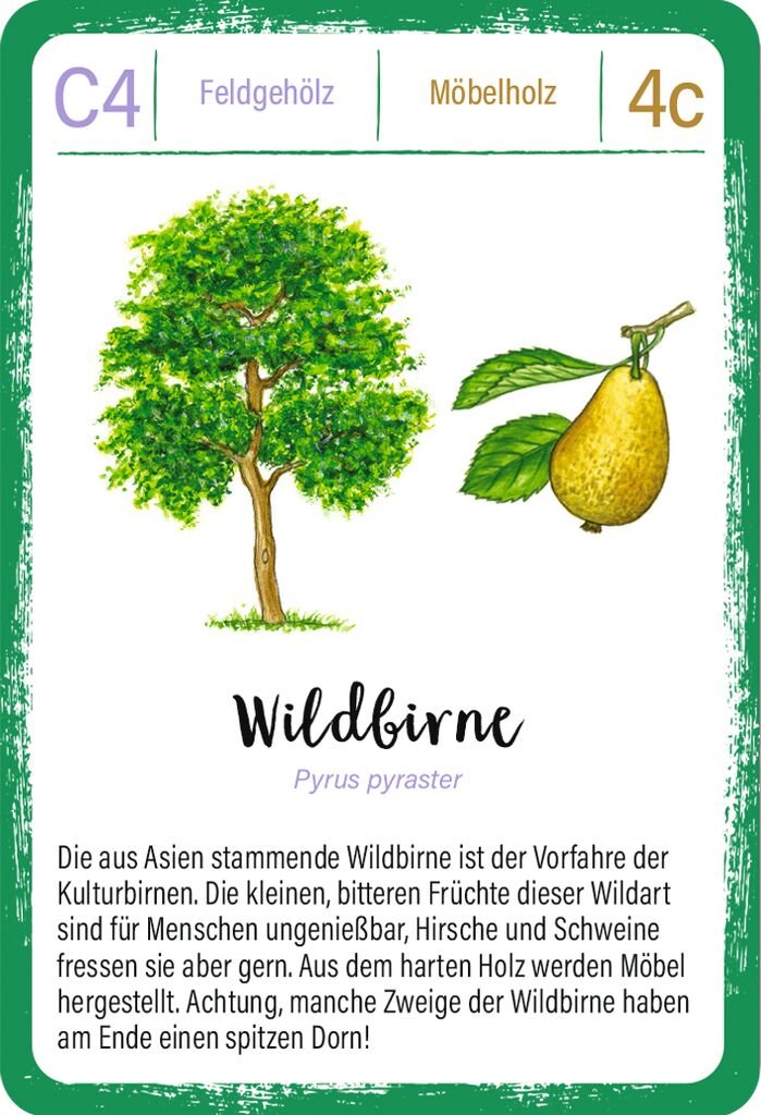 Expedition Natur – Naturspiel für Kinder ab 8 mit Infos zu Bäumen und Pflanzen