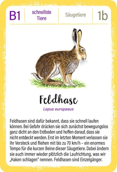 Kartenspiel Tierrekorde moses ab 8 Jahren mit Tierwissen