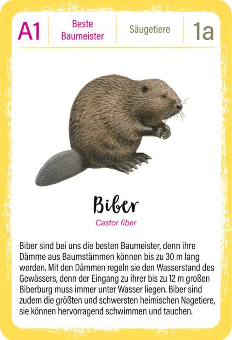 Blechdose mit Quartettspiel moses Expedition Natur ab 8 Jahren