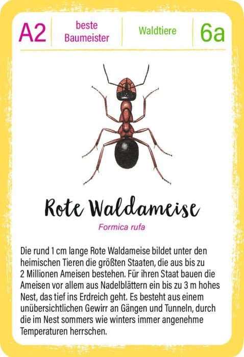 moses Quartett Tierrekorde in Blechdose Spielkarten ab 8 Jahren