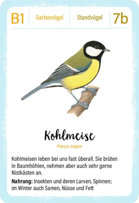Quartett Vögel für Kinder ab 8 Jahren moses mit Schleiereule