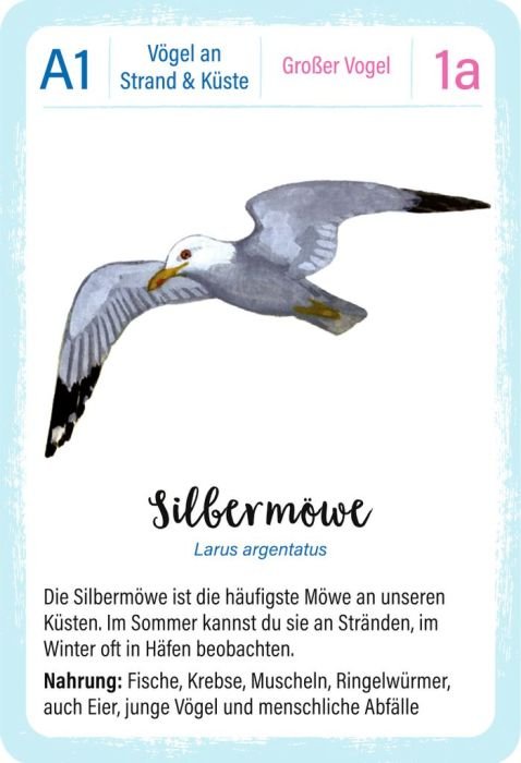 Kartenspiel Vögel moses ab 8 Jahren mit Naturwissen und Fakten