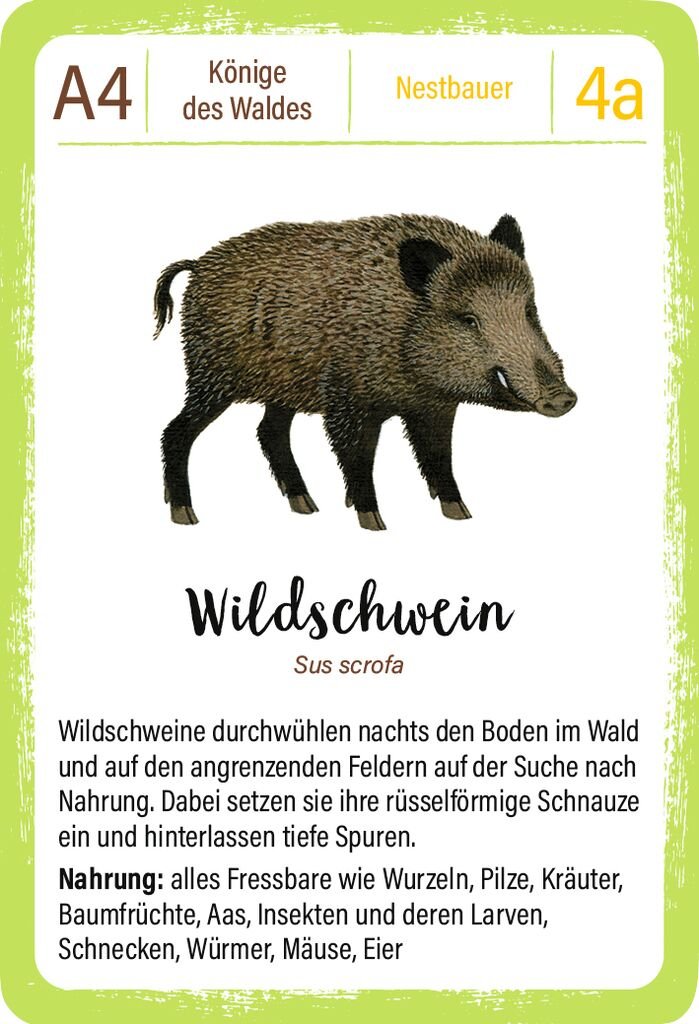 Quartettspiel für Kinder ab 8 Jahren moses Tiere aus dem Wald
