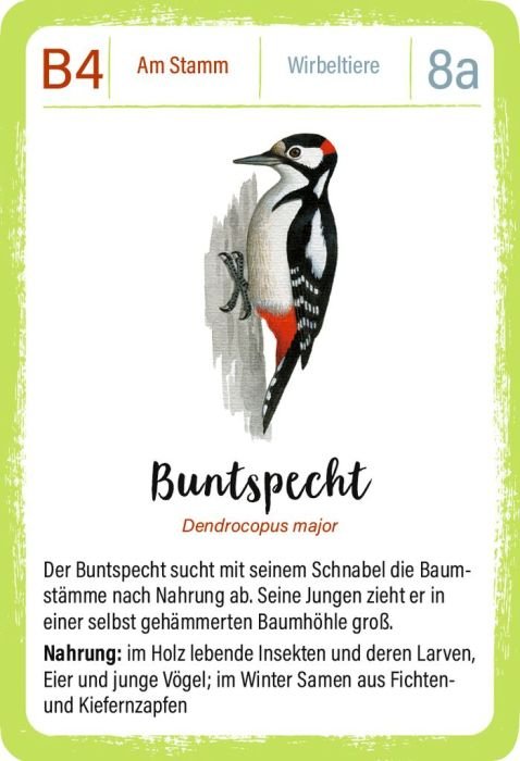 Blechdose mit Quartettspiel moses Expedition Natur ab 8 Jahren